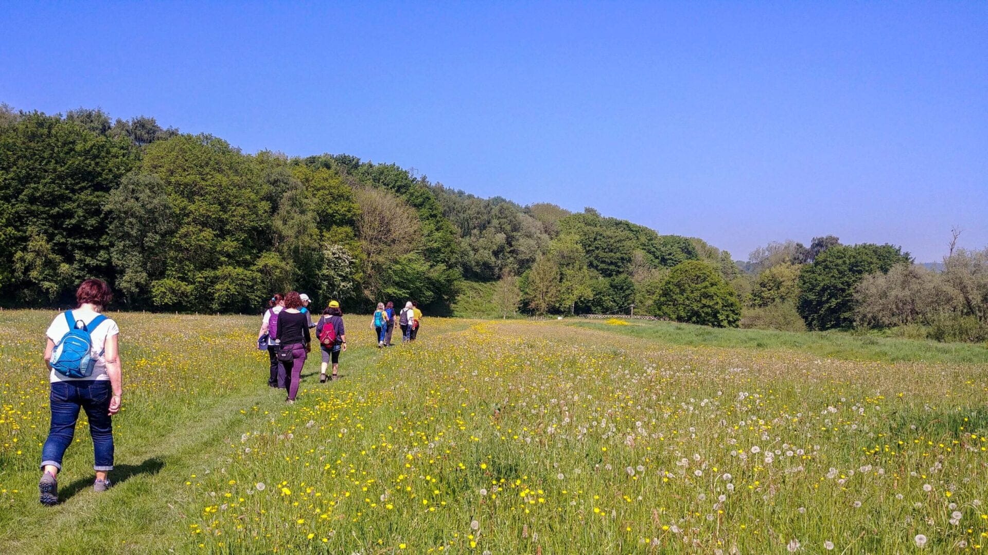 walk-this-way-claim-this-way-running-seeds